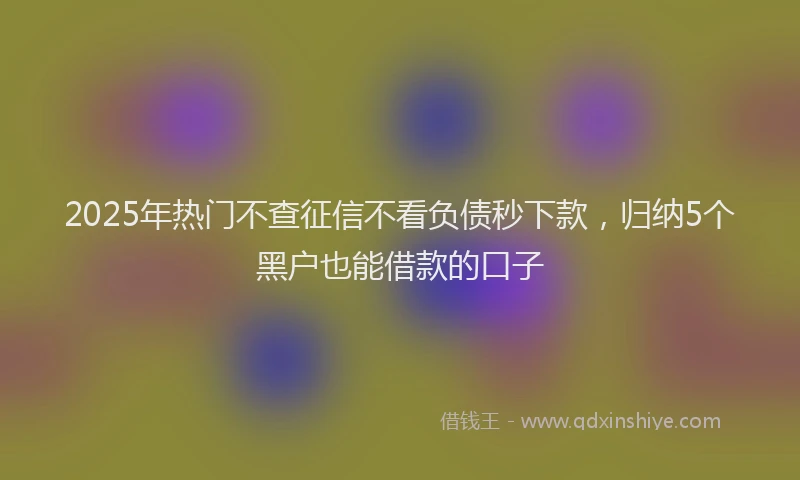 2025年热门不查征信不看负债秒下款，归纳5个黑户也能借款的口子