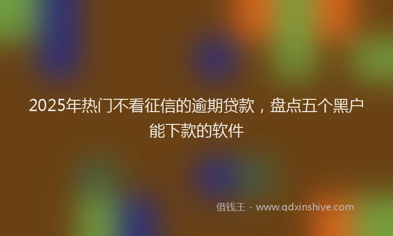 2025年热门不看征信的逾期贷款，盘点五个黑户能下款的软件