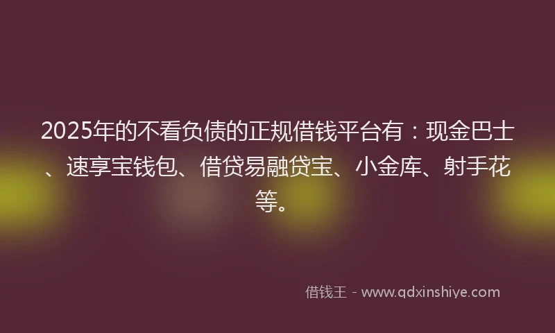 2025年的不看负债的正规借钱平台有：现金巴士、速享宝钱包、借贷易融贷宝、小金库、射手花等。