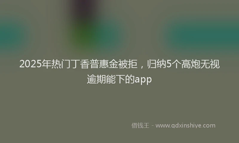 2025年热门丁香普惠金被拒，归纳5个高炮无视逾期能下的app