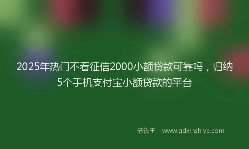 2025年热门不看征信2000小额贷款可靠吗，归纳5个手机支付宝小额贷款的平台