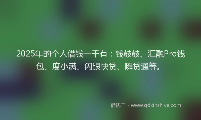 2025年的个人借钱一千有：钱鼓鼓、汇融Pro钱包、度小满、闪银快贷、瞬贷通等。