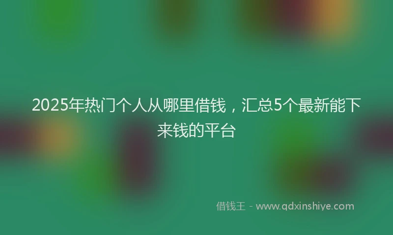2025年热门个人从哪里借钱，汇总5个最新能下来钱的平台
