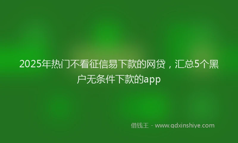 2025年热门不看征信易下款的网贷，汇总5个黑户无条件下款的app