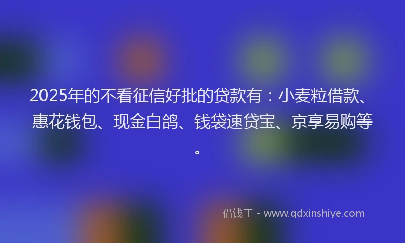 2025年的不看征信好批的贷款有：小麦粒借款、惠花钱包、现金白鸽、钱袋速贷宝、京享易购等。