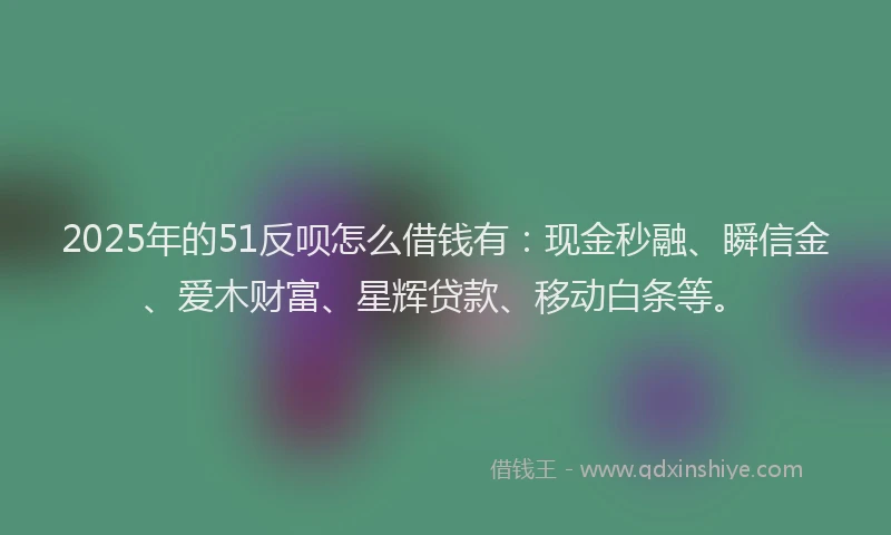 2025年的51反呗怎么借钱有：现金秒融、瞬信金、爱木财富、星辉贷款、移动白条等。