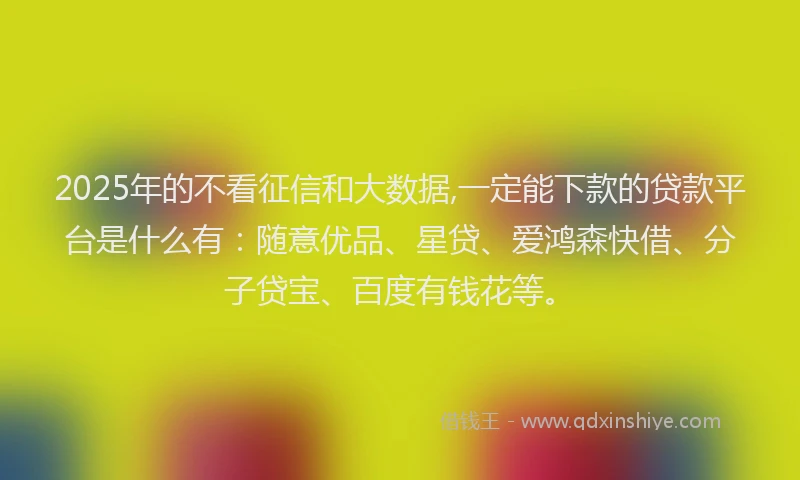 2025年的不看征信和大数据,一定能下款的贷款平台是什么有：随意优品、星贷、爱鸿森快借、分子贷宝、百度有钱花等。