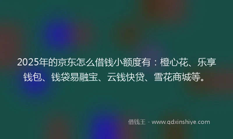 2025年的京东怎么借钱小额度有：橙心花、乐享钱包、钱袋易融宝、云钱快贷、雪花商城等。