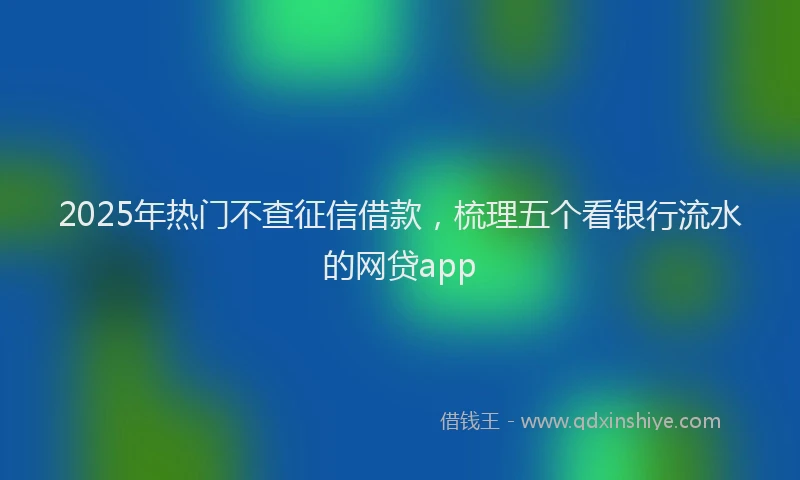 2025年热门不查征信借款，梳理五个看银行流水的网贷app