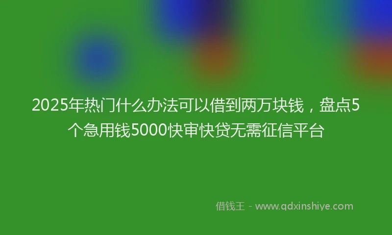2025年热门什么办法可以借到两万块钱，盘点5个急用钱5000快审快贷无需征信平台