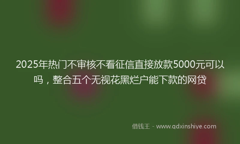 2025年热门不审核不看征信直接放款5000元可以吗，整合五个无视花黑烂户能下款的网贷