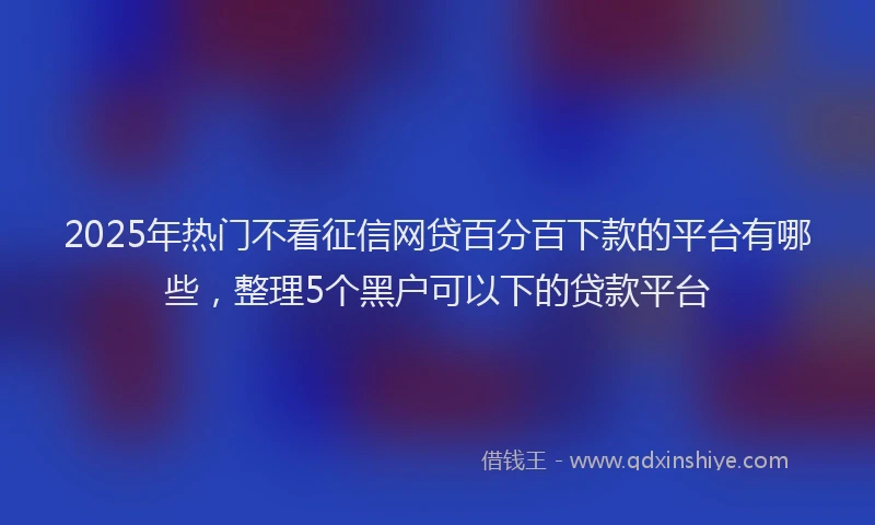 2025年热门不看征信网贷百分百下款的平台有哪些，整理5个黑户可以下的贷款平台