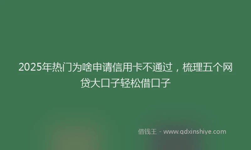2025年热门为啥申请信用卡不通过，梳理五个网贷大口子轻松借口子