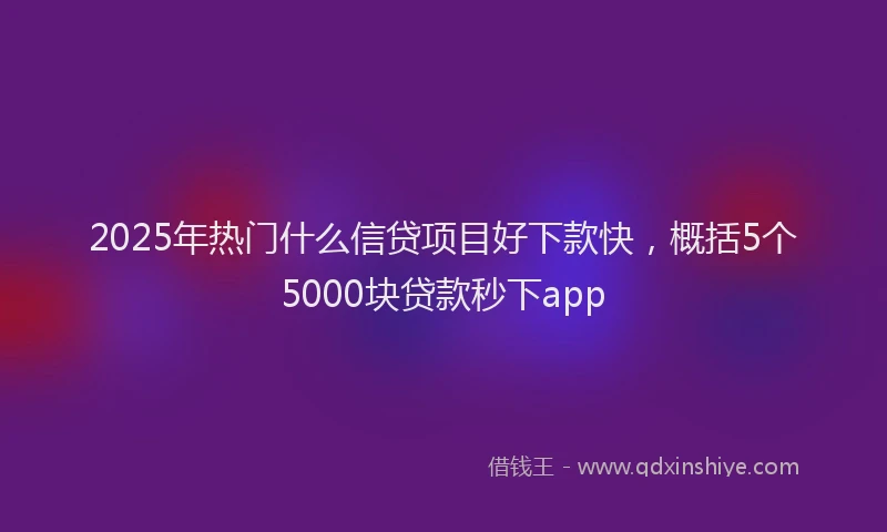 2025年热门什么信贷项目好下款快，概括5个5000块贷款秒下app