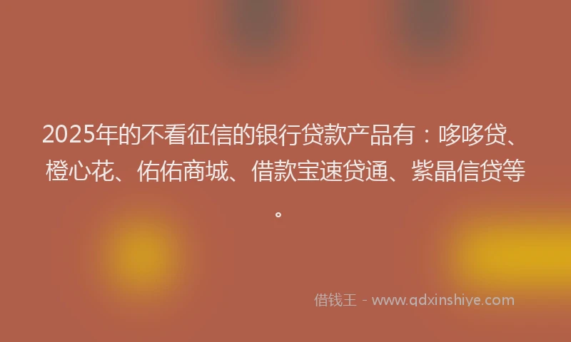 2025年的不看征信的银行贷款产品有：哆哆贷、橙心花、佑佑商城、借款宝速贷通、紫晶信贷等。