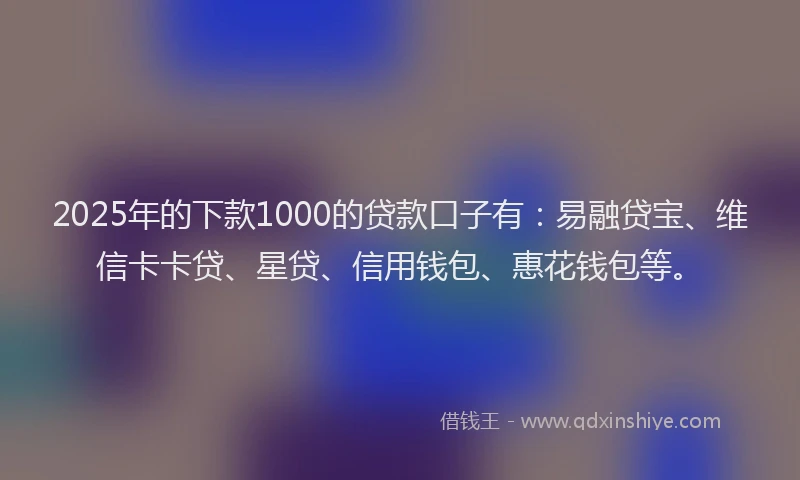 2025年的下款1000的贷款口子有：易融贷宝、维信卡卡贷、星贷、信用钱包、惠花钱包等。