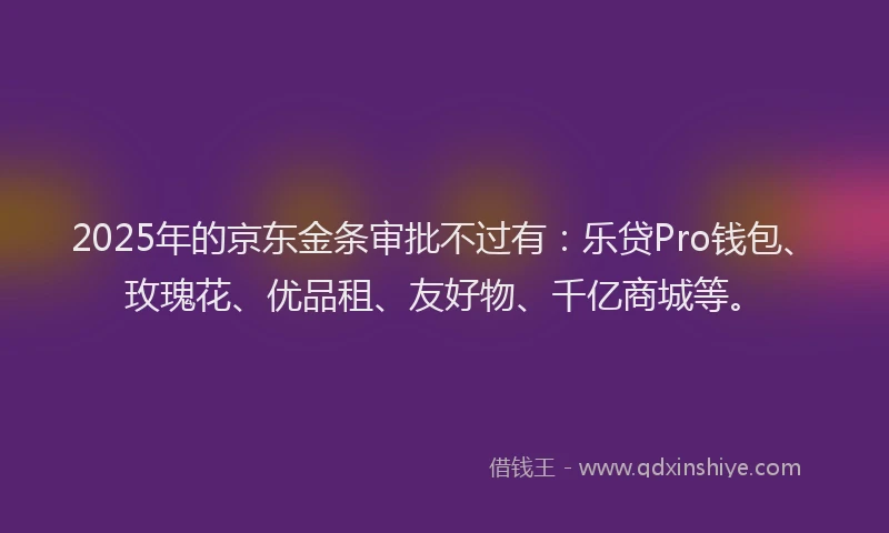2025年的京东金条审批不过有：乐贷Pro钱包、玫瑰花、优品租、友好物、千亿商城等。