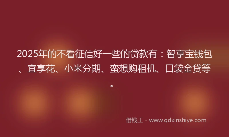 2025年的不看征信好一些的贷款有：智享宝钱包、宜享花、小米分期、蛮想购租机、口袋金贷等。