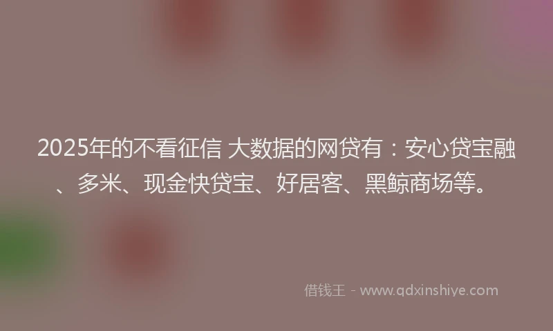 2025年的不看征信 大数据的网贷有：安心贷宝融、多米、现金快贷宝、好居客、黑鲸商场等。