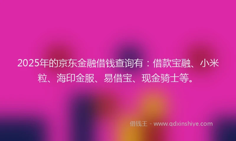 2025年的京东金融借钱查询有：借款宝融、小米粒、海印金服、易借宝、现金骑士等。