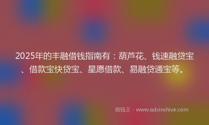 2025年的丰融借钱指南有：葫芦花、钱速融贷宝、借款宝快贷宝、星愿借款、易融贷通宝等。