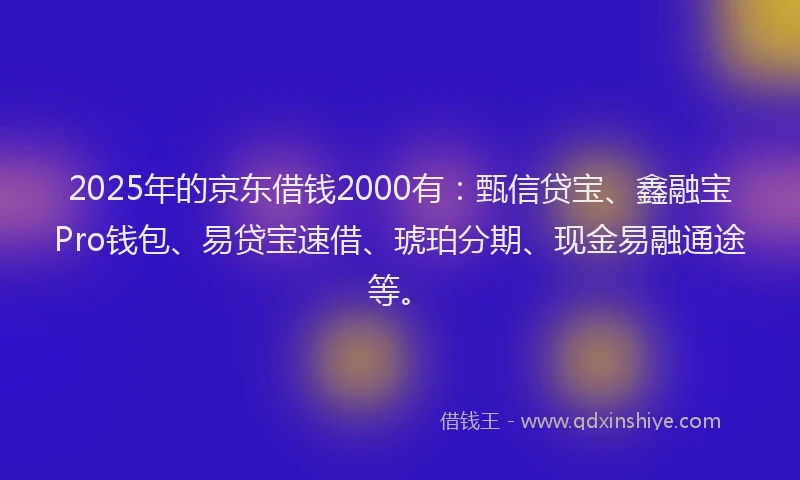 2025年的京东借钱2000有:甄信贷宝、鑫融宝Pro钱包、易贷宝速借、琥珀分期、现金易融通途等。