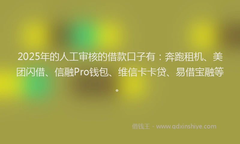 2025年的人工审核的借款口子有：奔跑租机、美团闪借、信融Pro钱包、维信卡卡贷、易借宝融等。