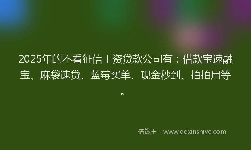 2025年的不看征信工资贷款公司有：借款宝速融宝、麻袋速贷、蓝莓买单、现金秒到、拍拍用等。