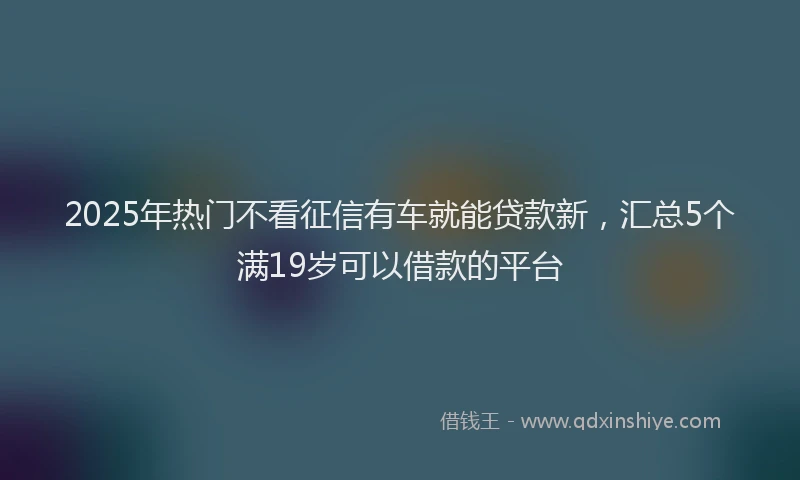 2025年热门不看征信有车就能贷款新，汇总5个满19岁可以借款的平台