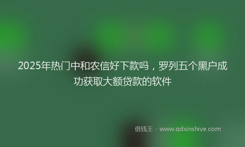 2025年热门中和农信好下款吗，罗列五个黑户成功获取大额贷款的软件