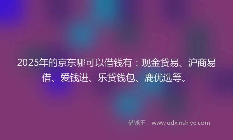 2025年的京东哪可以借钱有：现金贷易、沪商易借、爱钱进、乐贷钱包、鹿优选等。