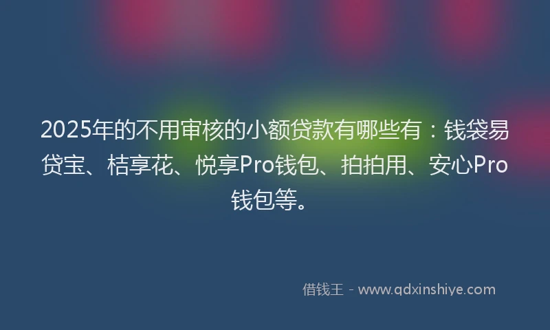 2025年的不用审核的小额贷款有哪些有：钱袋易贷宝、桔享花、悦享Pro钱包、拍拍用、安心Pro钱包等。