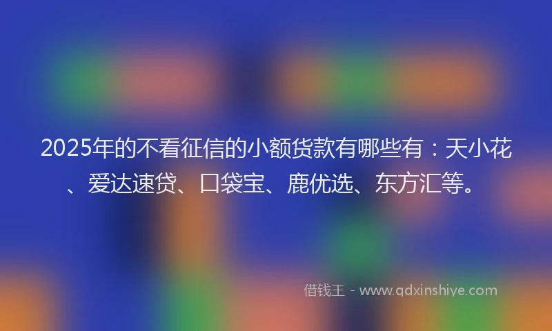 2025年的不看征信的小额货款有哪些有：天小花、爱达速贷、口袋宝、鹿优选、东方汇等。