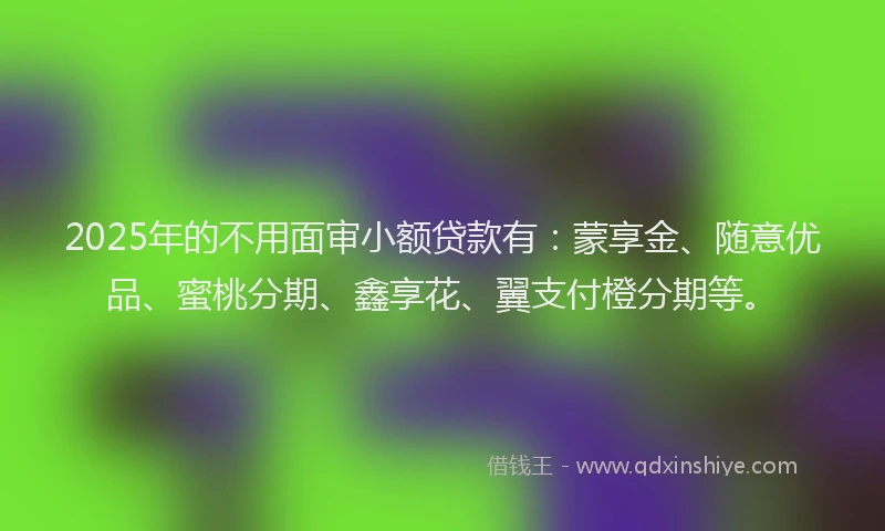 2025年的不用面审小额贷款有：蒙享金、随意优品、蜜桃分期、鑫享花、翼支付橙分期等。