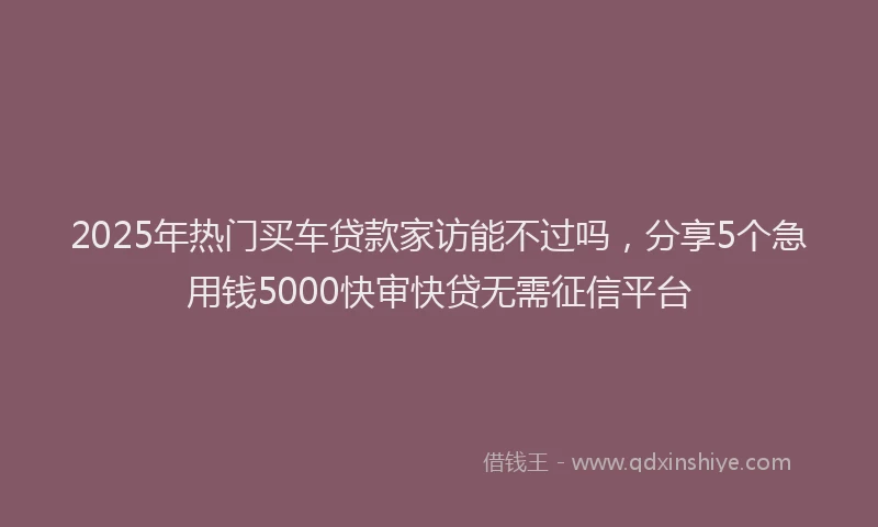 2025年热门买车贷款家访能不过吗，分享5个急用钱5000快审快贷无需征信平台