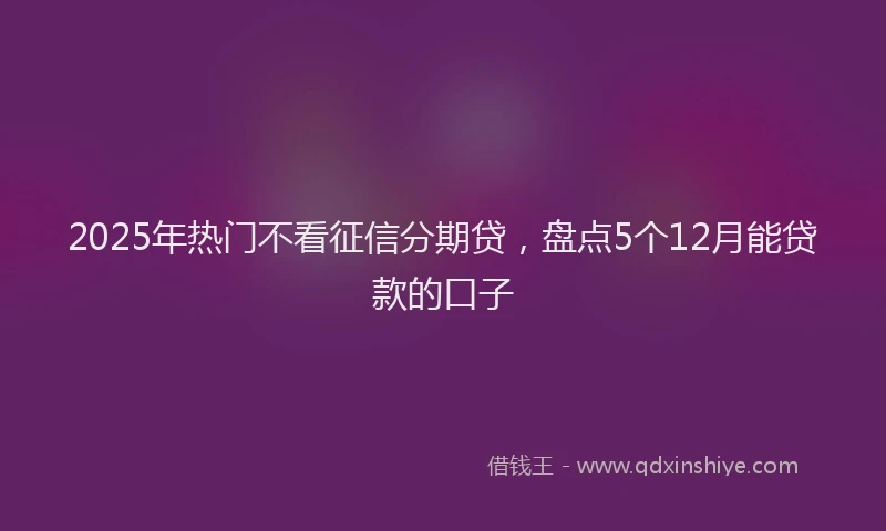 2025年热门不看征信分期贷，盘点5个12月能贷款的口子