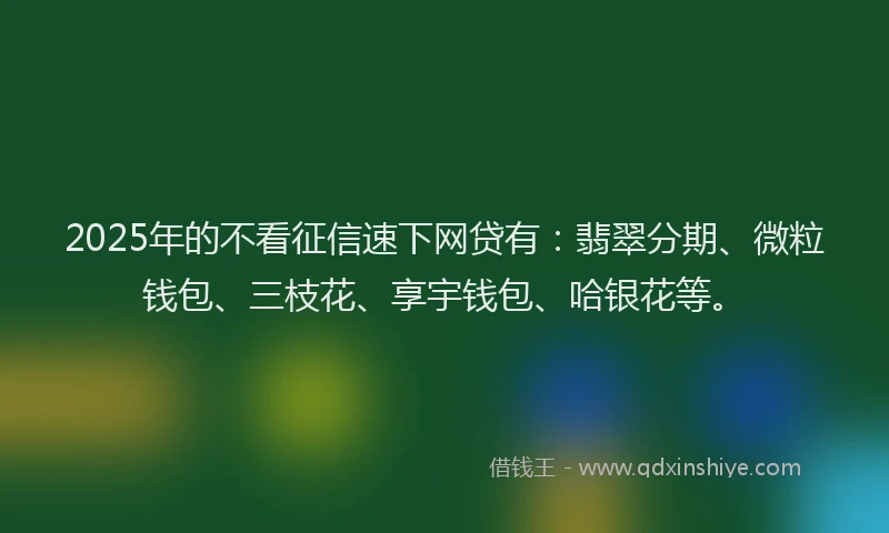 2025年的不看征信速下网贷有：翡翠分期、微粒钱包、三枝花、享宇钱包、哈银花等。