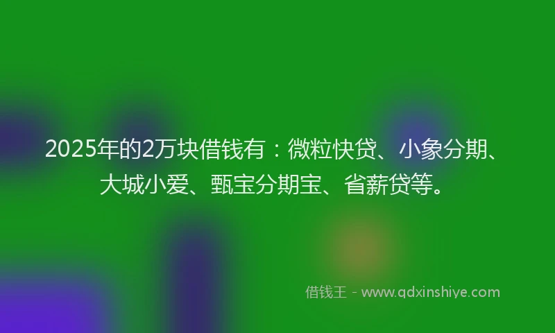 2025年的2万块借钱有：微粒快贷、小象分期、大城小爱、甄宝分期宝、省薪贷等。