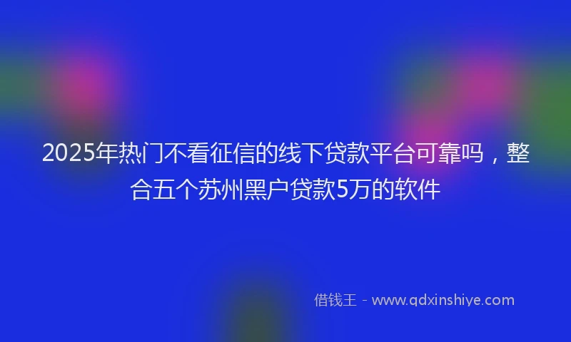2025年热门不看征信的线下贷款平台可靠吗，整合五个苏州黑户贷款5万的软件