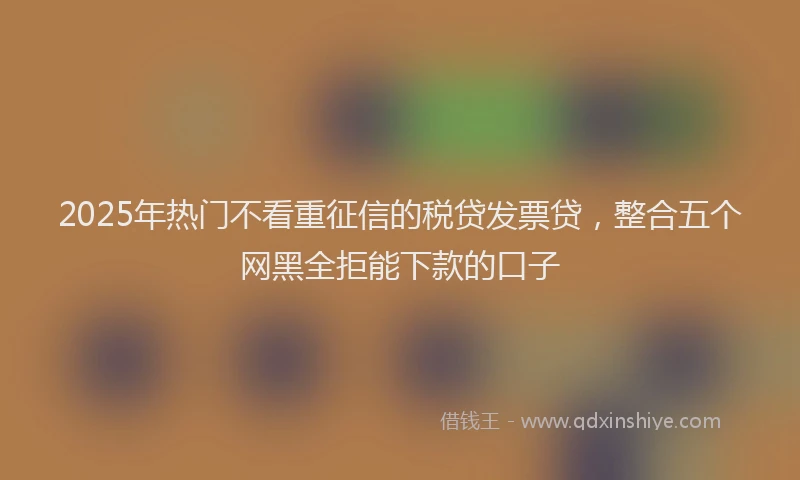 2025年热门不看重征信的税贷发票贷，整合五个网黑全拒能下款的口子