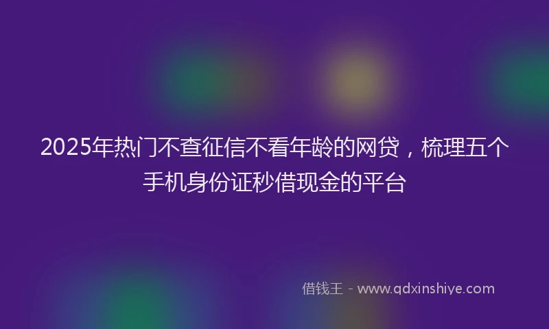 2025年热门不查征信不看年龄的网贷，梳理五个手机身份证秒借现金的平台