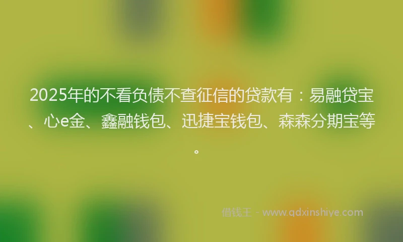 2025年的不看负债不查征信的贷款有：易融贷宝、心e金、鑫融钱包、迅捷宝钱包、森森分期宝等。