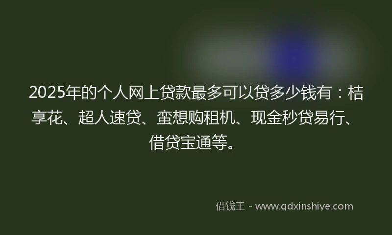 2025年的个人网上贷款最多可以贷多少钱有：桔享花、超人速贷、蛮想购租机、现金秒贷易行、借贷宝通等。