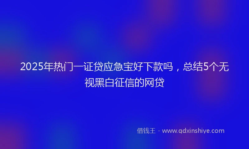 2025年热门一证贷应急宝好下款吗，总结5个无视黑白征信的网贷