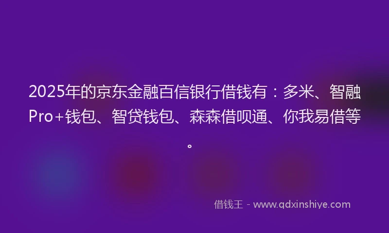 2025年的京东金融百信银行借钱有：多米、智融Pro+钱包、智贷钱包、森森借呗通、你我易借等。