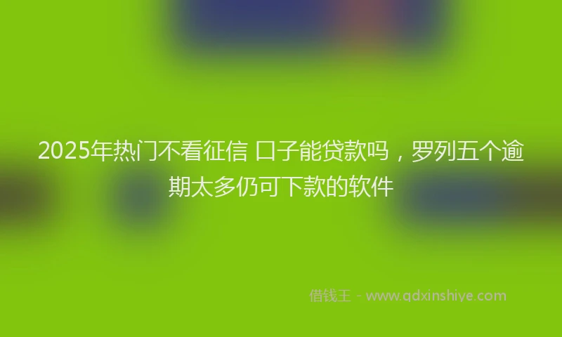 2025年热门不看征信 口子能贷款吗，罗列五个逾期太多仍可下款的软件