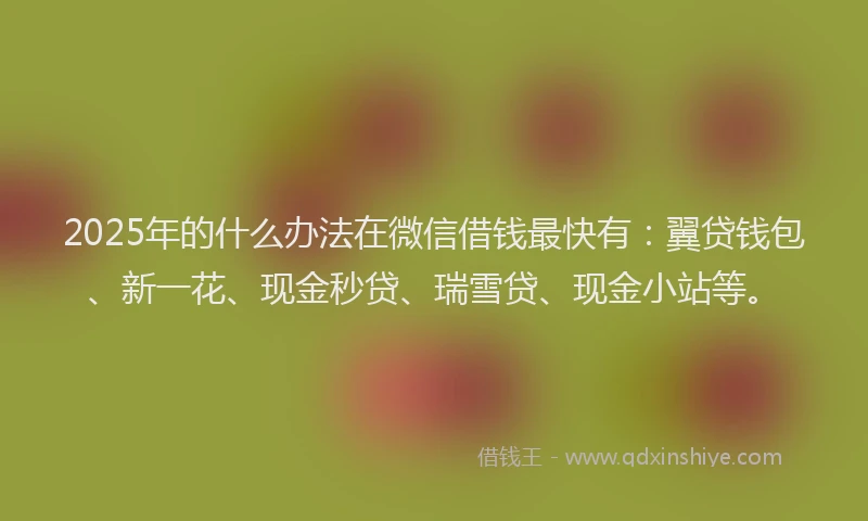 2025年的什么办法在微信借钱最快有：翼贷钱包、新一花、现金秒贷、瑞雪贷、现金小站等。