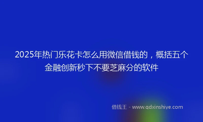2025年热门乐花卡怎么用微信借钱的，概括五个金融创新秒下不要芝麻分的软件