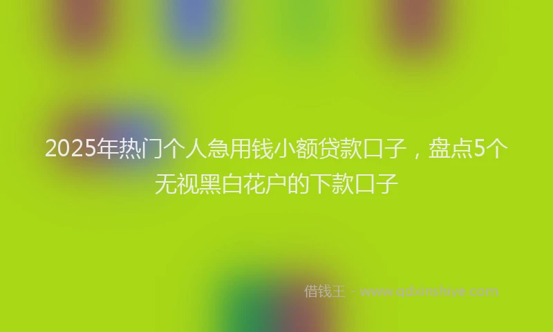 2025年热门个人急用钱小额贷款口子，盘点5个无视黑白花户的下款口子