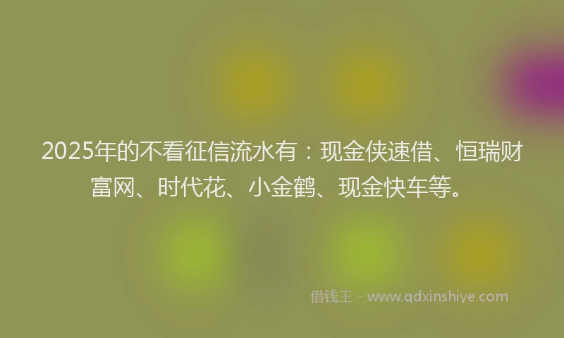 2025年的不看征信流水有：现金侠速借、恒瑞财富网、时代花、小金鹤、现金快车等。